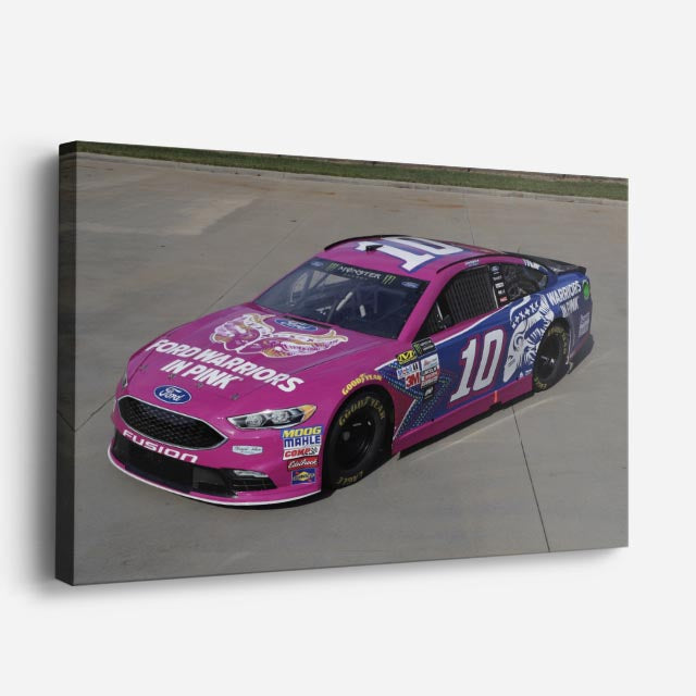 cuadro canvas vehículos auto nascar rosa pista horizontal