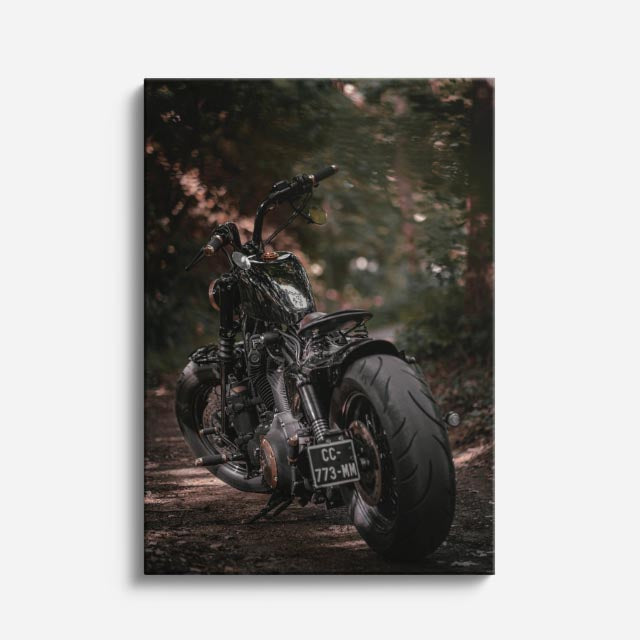 cuadro canvas vehículos naked negra fondo oscuro vertical