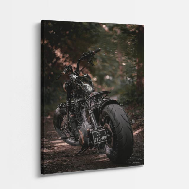 cuadro canvas vehículos naked negra fondo oscuro vertical