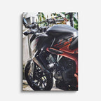 cuadro canvas vehículos naked roja fondo oscuro vertical