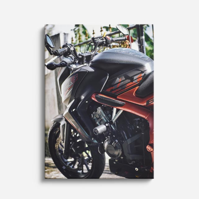 cuadro canvas vehículos naked roja fondo oscuro vertical