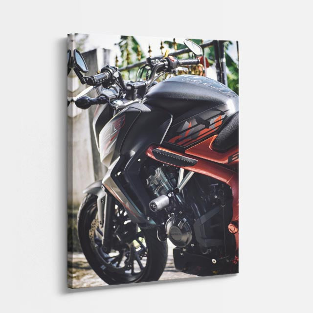 cuadro canvas vehículos naked roja fondo oscuro vertical
