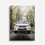 cuadro canvas vehículos lexus blanco bosque invernal vertical