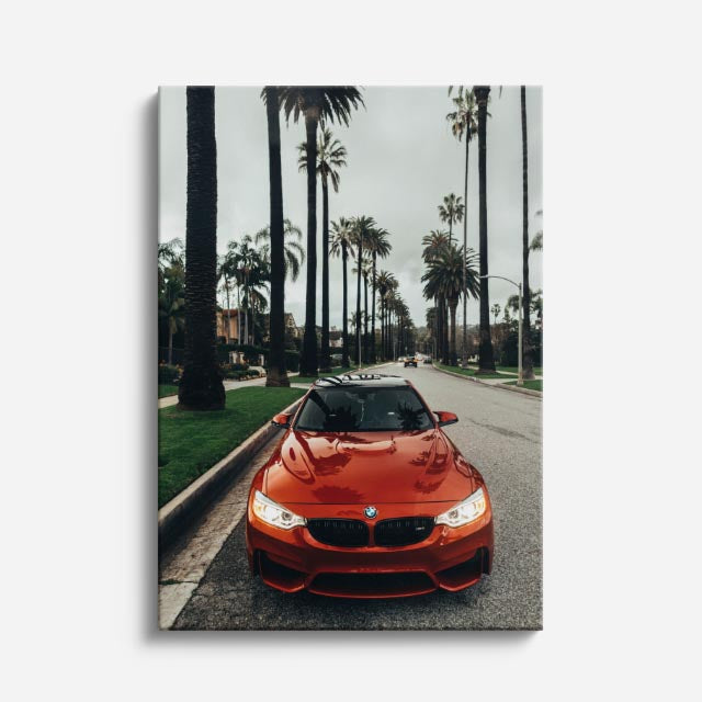cuadro canvas vehículos bmw rojo palmeras vertical
