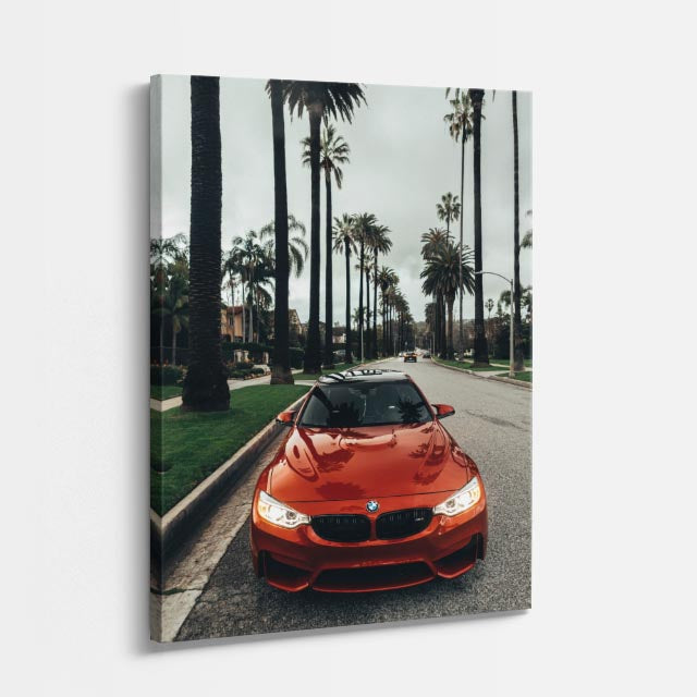 cuadro canvas vehículos bmw rojo palmeras vertical