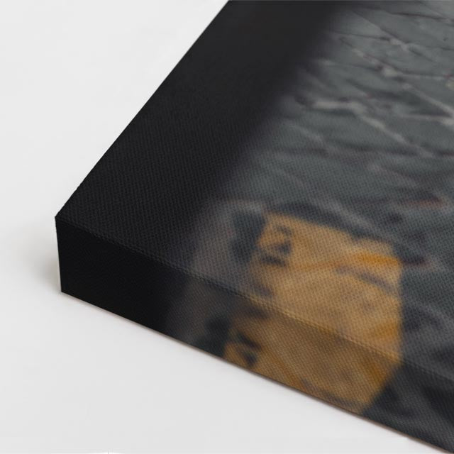 cuadro canvas vehículos bmw gris ciudad histórica vertical