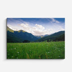 cuadro canvas bosques y naturaleza montaña nevada cielo nublado horizontal