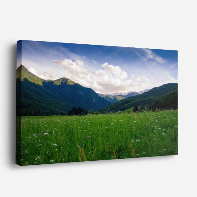 cuadro canvas bosques y naturaleza montaña nevada cielo nublado horizontal