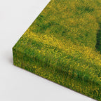 cuadro canvas bosques y naturaleza colinas doradas atardecer horizontal