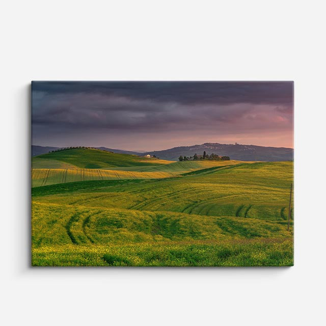 cuadro canvas bosques y naturaleza colinas doradas atardecer horizontal