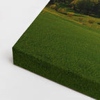 cuadro canvas bosques y naturaleza volcán lejano campo verde horizontal
