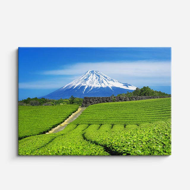 cuadro canvas bosques y naturaleza monte fuji plantación de té horizontal