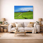cuadro canvas bosques y naturaleza monte fuji plantación de té horizontal