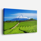 cuadro canvas bosques y naturaleza monte fuji plantación de té horizontal