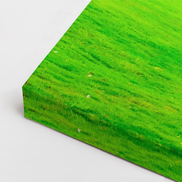 cuadro canvas bosques y naturaleza pradera verde árboles frondosos horizontal