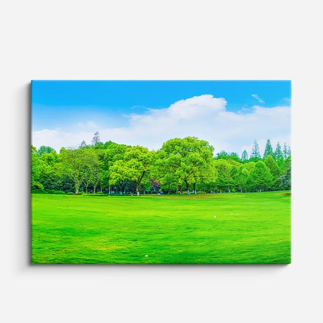 cuadro canvas bosques y naturaleza pradera verde árboles frondosos horizontal