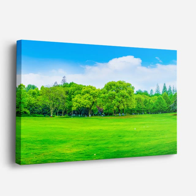 cuadro canvas bosques y naturaleza pradera verde árboles frondosos horizontal