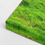 cuadro canvas bosques y naturaleza vacas en prado monte fuji horizontal