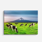 cuadro canvas bosques y naturaleza vacas en prado monte fuji horizontal