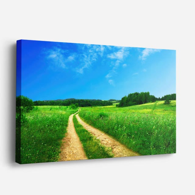 cuadro canvas bosques y naturaleza camino rural cielo azul horizontal