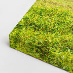 cuadro canvas bosques y naturaleza campo verde figura lejana horizontal