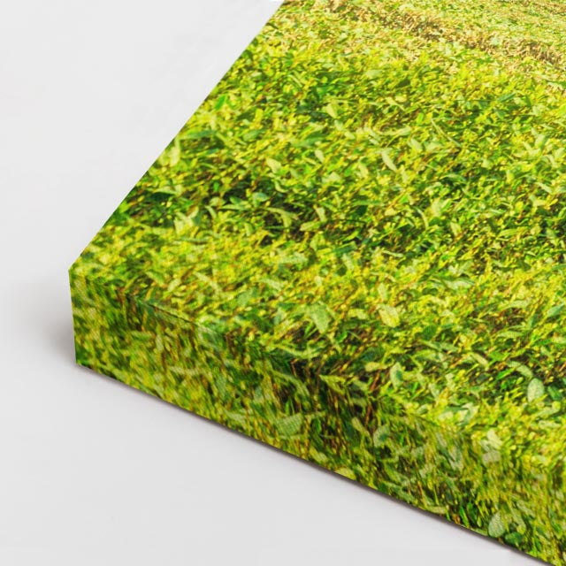 cuadro canvas bosques y naturaleza campo verde figura lejana horizontal