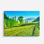 cuadro canvas bosques y naturaleza campo verde figura lejana horizontal