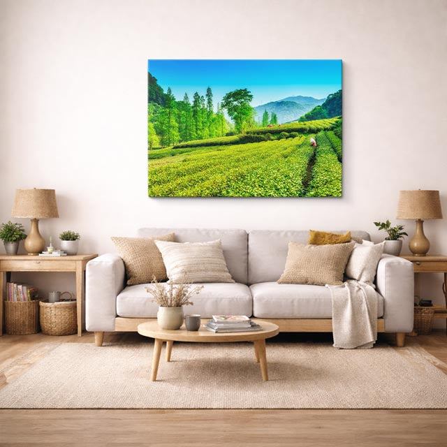 cuadro canvas bosques y naturaleza campo verde figura lejana horizontal