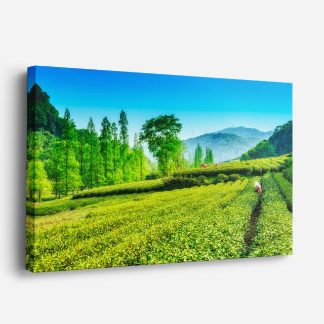 cuadro canvas bosques y naturaleza campo verde figura lejana horizontal