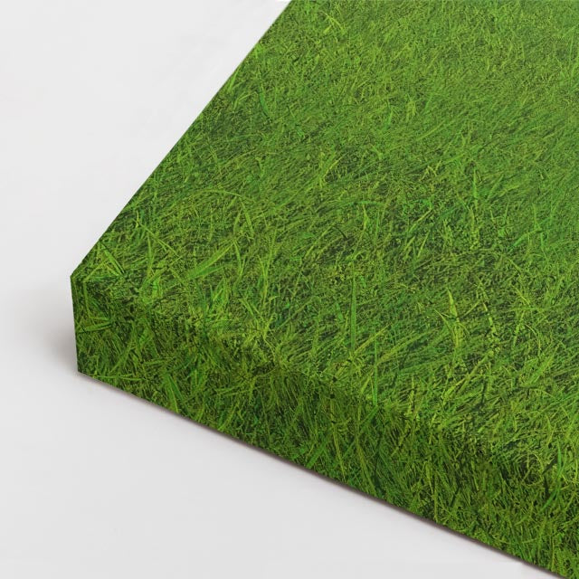 cuadro canvas bosques y naturaleza árbol solitario cielo azul horizontal