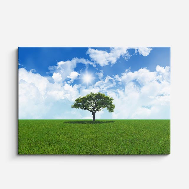 cuadro canvas bosques y naturaleza árbol solitario cielo azul horizontal