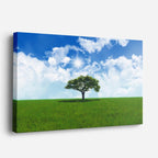 cuadro canvas bosques y naturaleza árbol solitario cielo azul horizontal