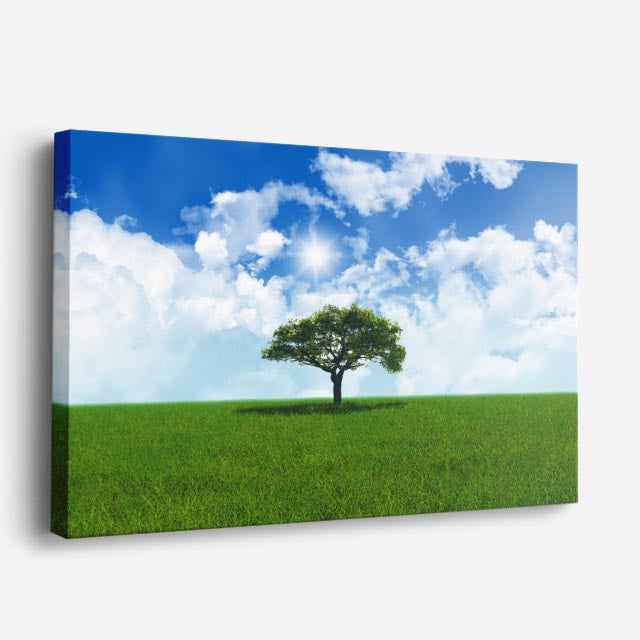 cuadro canvas bosques y naturaleza árbol solitario cielo azul horizontal