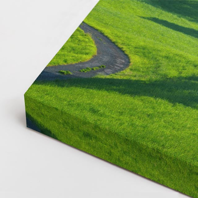 cuadro canvas bosques y naturaleza árboles verdes colina suave horizontal
