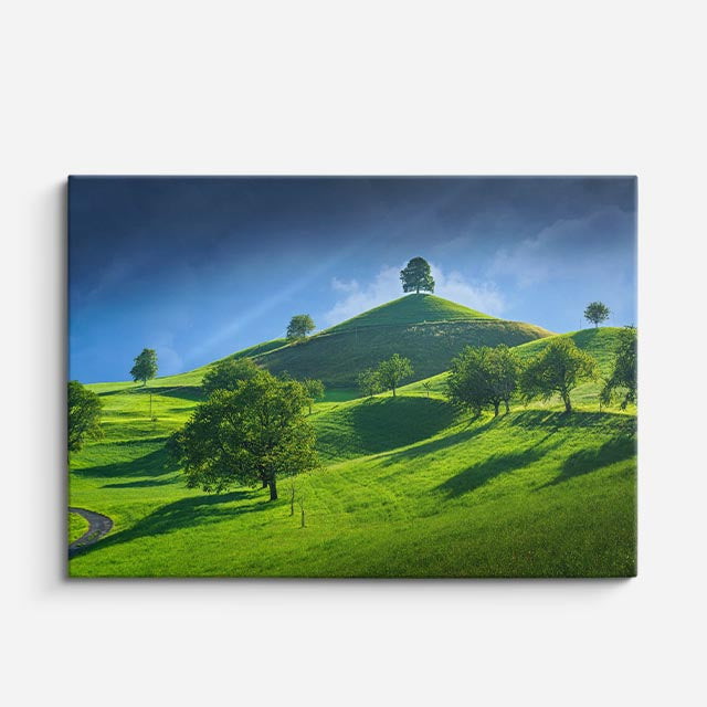 cuadro canvas bosques y naturaleza árboles verdes colina suave horizontal
