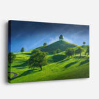 cuadro canvas bosques y naturaleza árboles verdes colina suave horizontal