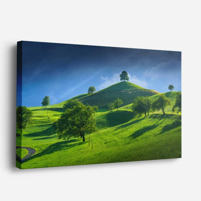 cuadro canvas bosques y naturaleza árboles verdes colina suave horizontal