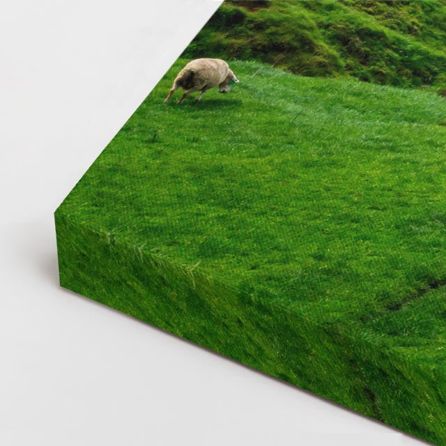 cuadro canvas bosques y naturaleza colina verde nueva zelanda horizontal