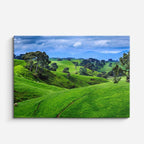 cuadro canvas bosques y naturaleza colina verde nueva zelanda horizontal