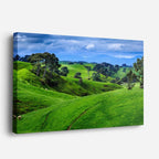 cuadro canvas bosques y naturaleza colina verde nueva zelanda horizontal