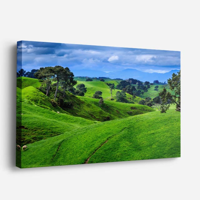 cuadro canvas bosques y naturaleza colina verde nueva zelanda horizontal