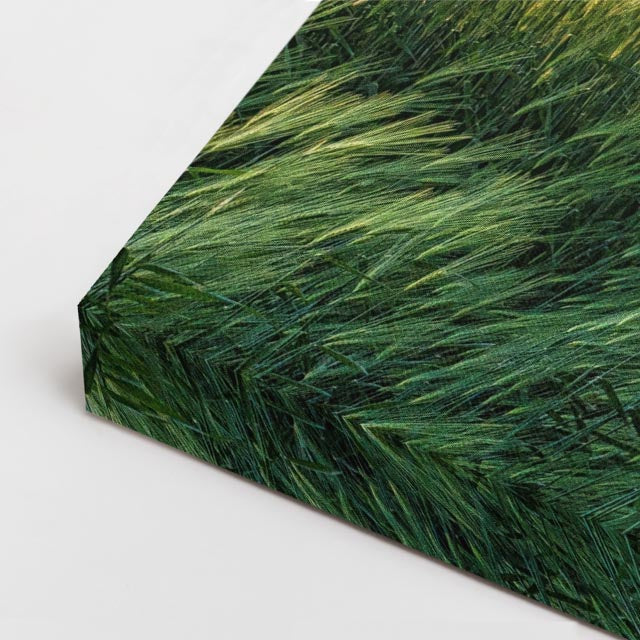 cuadro canvas bosques y naturaleza campo abierto molinos de viento horizontal