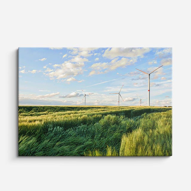 cuadro canvas bosques y naturaleza campo abierto molinos de viento horizontal