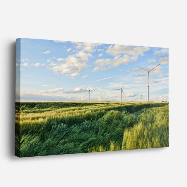 cuadro canvas bosques y naturaleza campo abierto molinos de viento horizontal