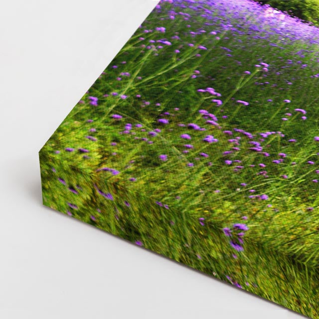 cuadro canvas bosques y naturaleza dos árboles prado floral horizontal