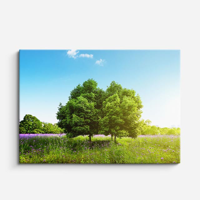 cuadro canvas bosques y naturaleza dos árboles prado floral horizontal