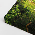 cuadro canvas bosques y naturaleza llanura atardecer dramático horizontal