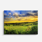 cuadro canvas bosques y naturaleza llanura atardecer dramático horizontal