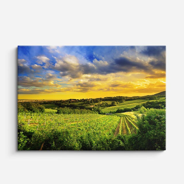 cuadro canvas bosques y naturaleza llanura atardecer dramático horizontal
