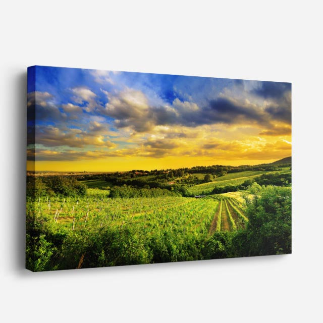 cuadro canvas bosques y naturaleza llanura atardecer dramático horizontal